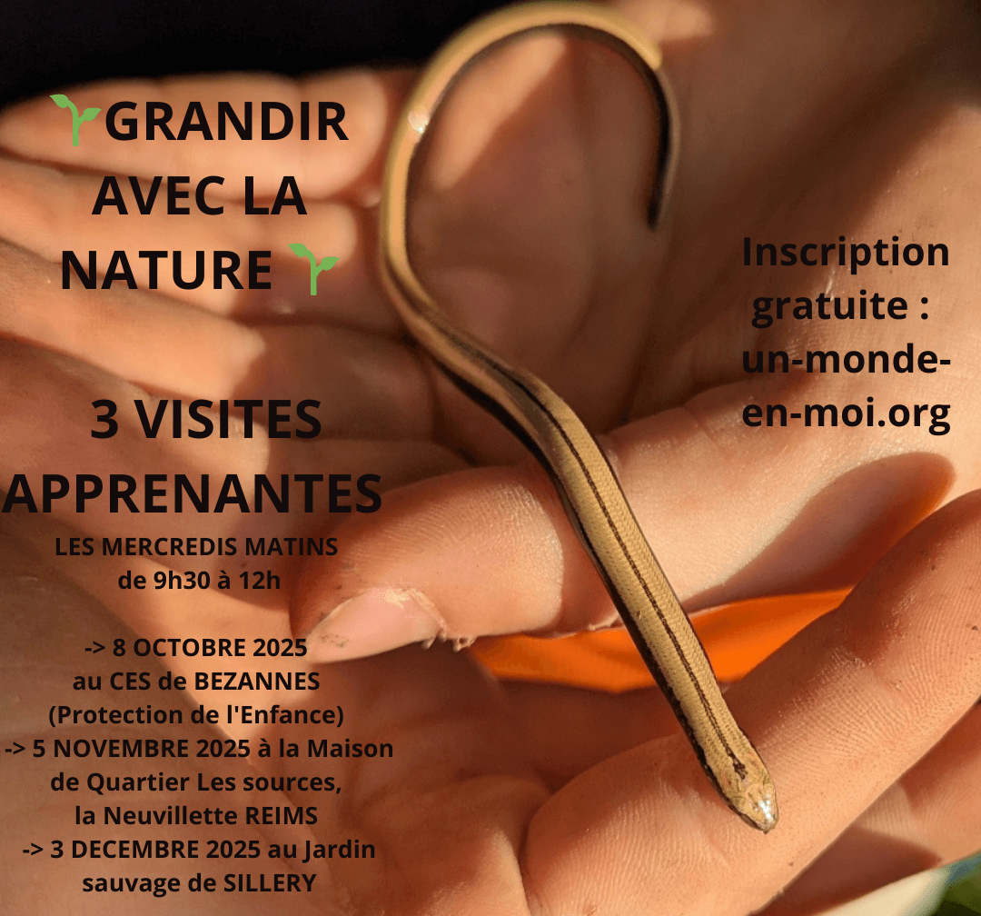 Dès le 08.10.2025 – Grandir avec la nature