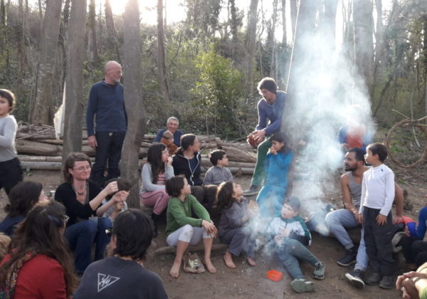 Familles des bois 2025