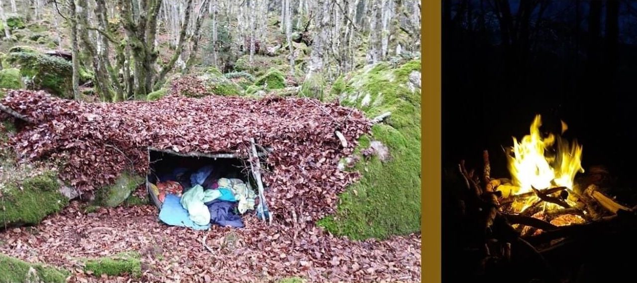 Nature sauvage abris survie 3