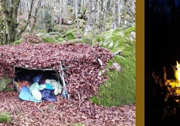 Nature sauvage abris survie 3