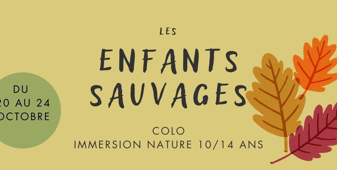 Nomadesland colo automne 25