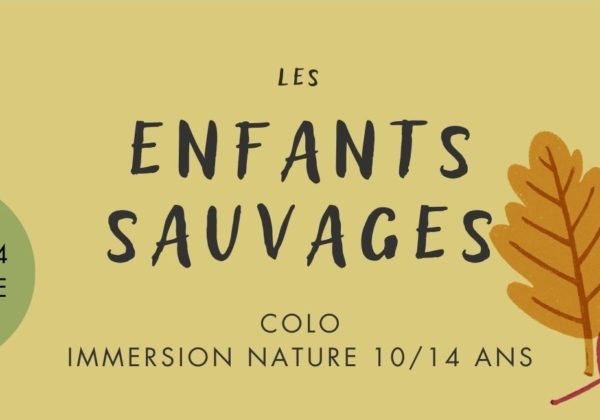Nomadesland colo automne 25