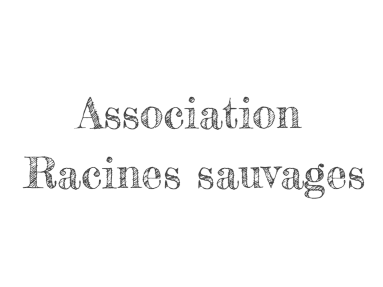 Racines sauvages