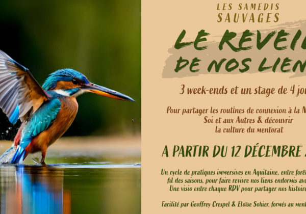 Reveil nos liens