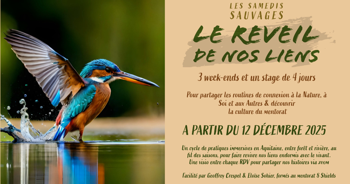 Dès le 12.12.25 – Le réveil de nos liens