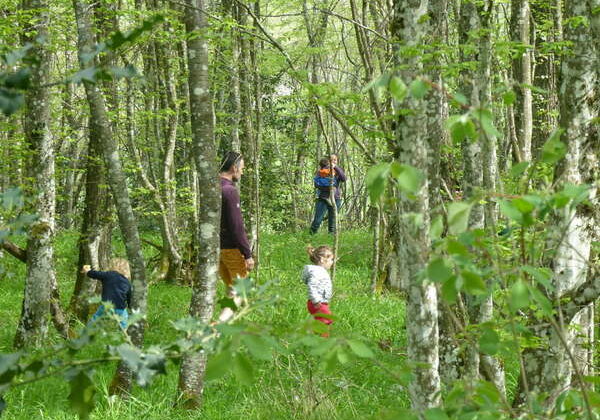 Familles foret