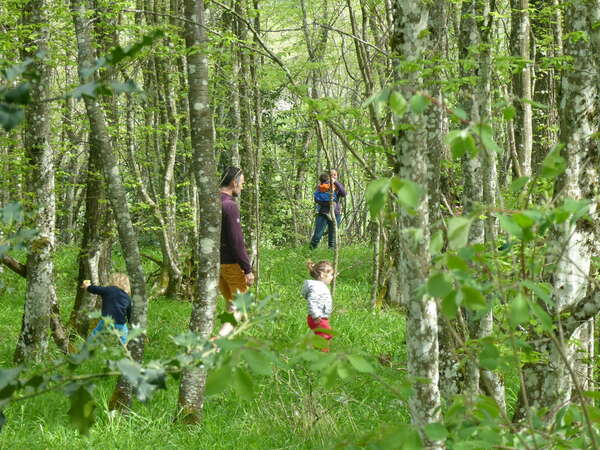 Familles foret
