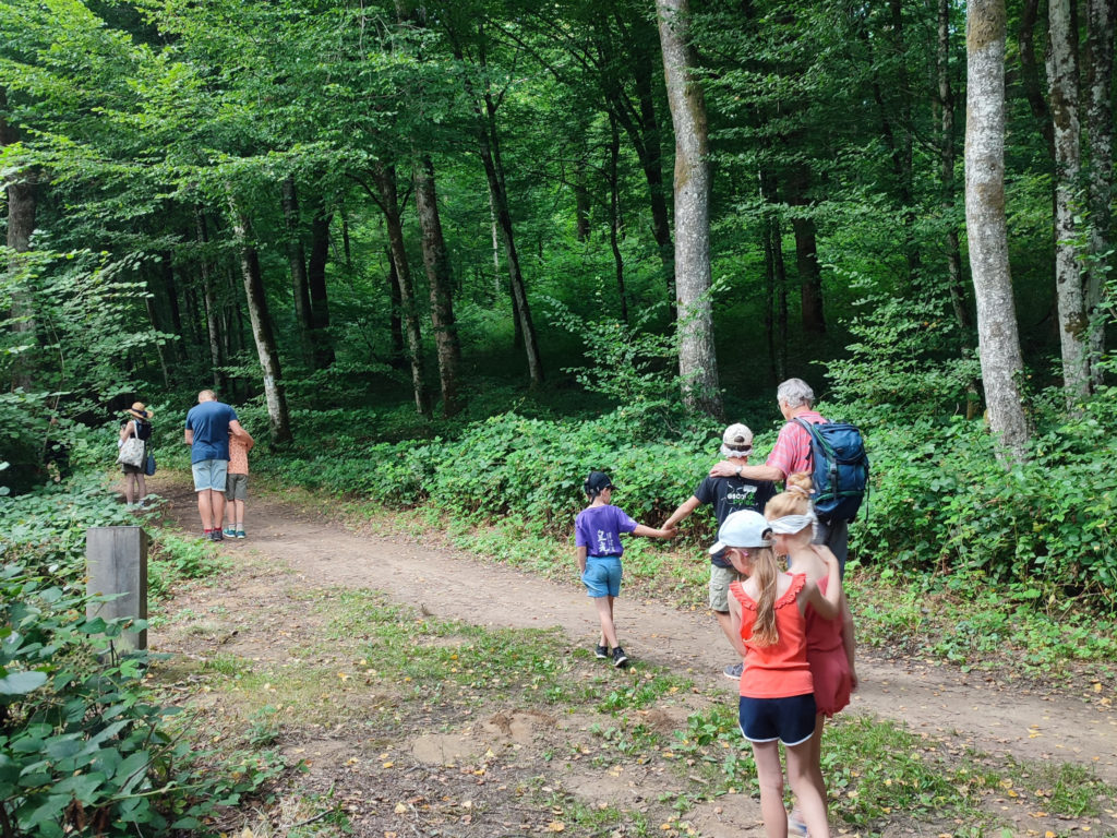 Graines sauvages aveugles