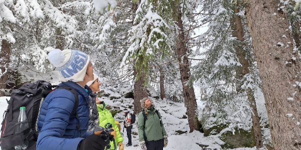 Immersion montagne newsletter