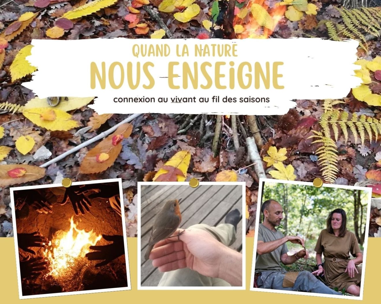 Quand la nature nous enseigne cycle de 3 annees