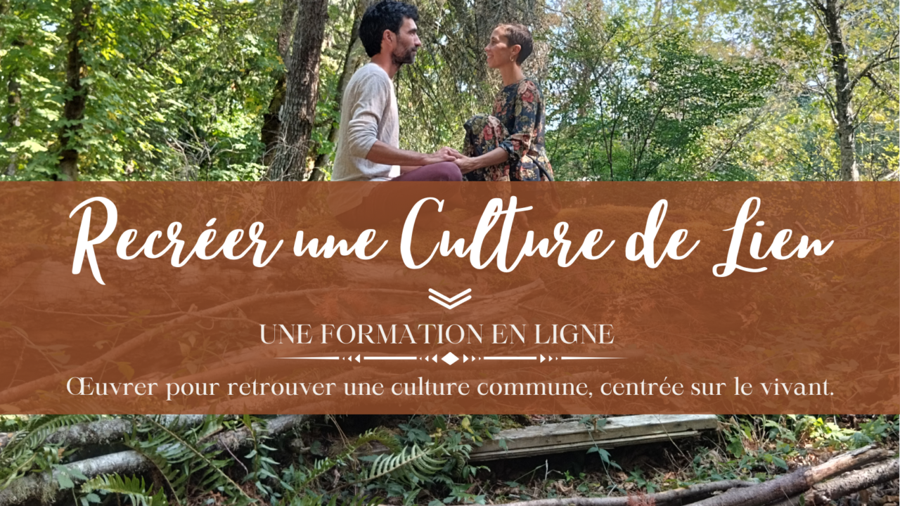 14 03 au 06 06 26 recreer une culture de lien formation en ligne
