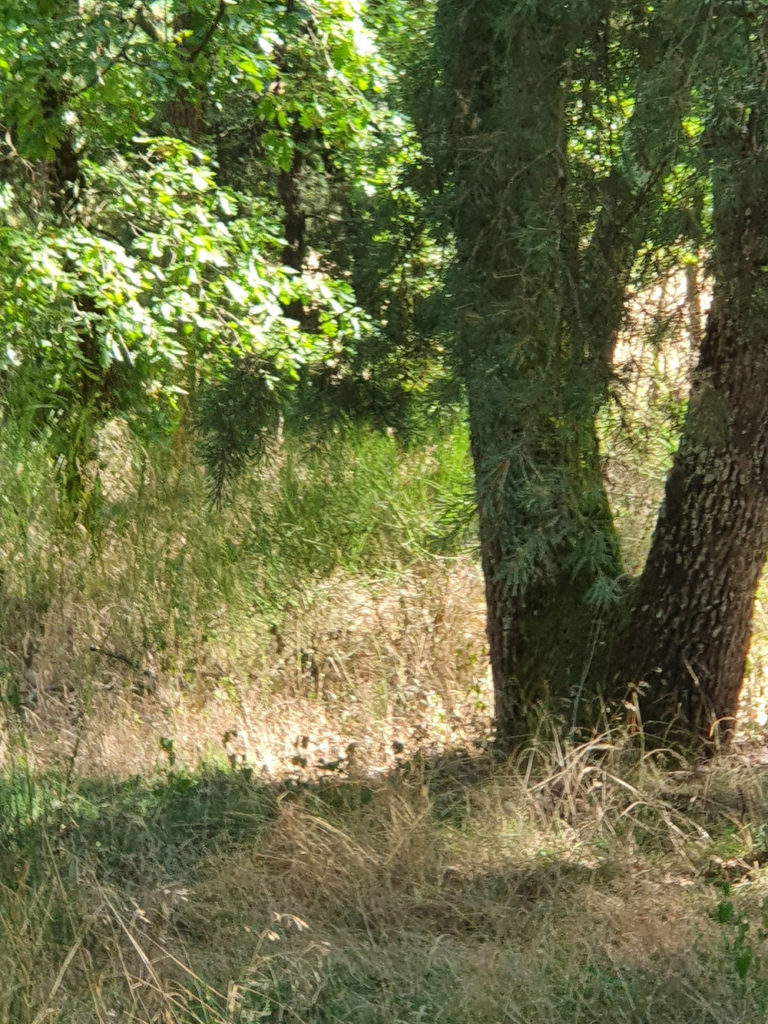 PermaVisions Newsletter