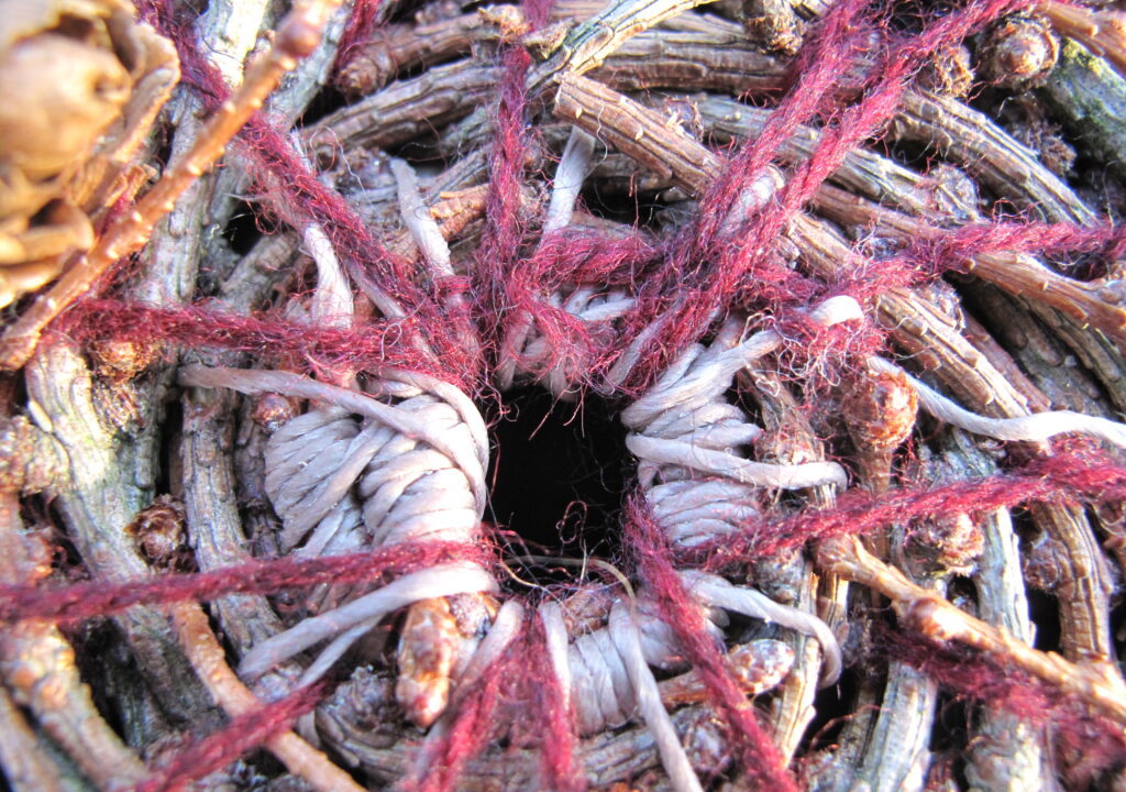 Ateliers vannerie sauvage