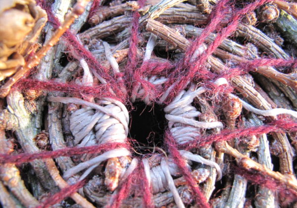 Ateliers vannerie sauvage