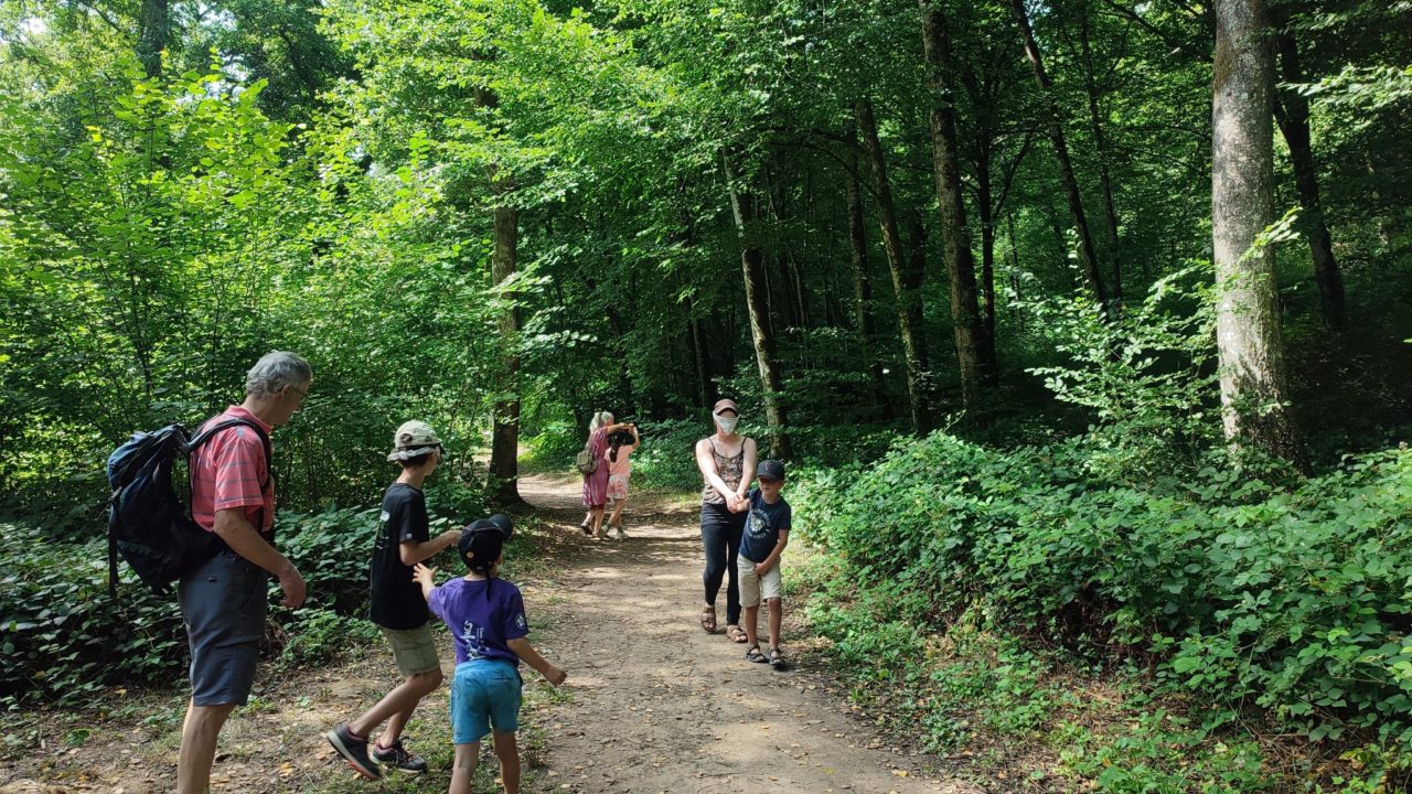 Des racines des liens cercles de parents graines de sauvages