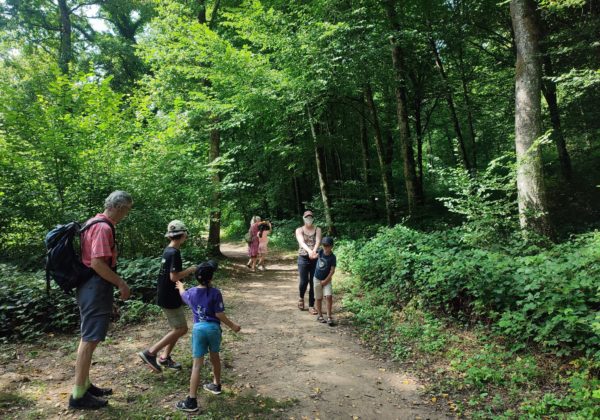 Des racines des liens cercles de parents graines de sauvages
