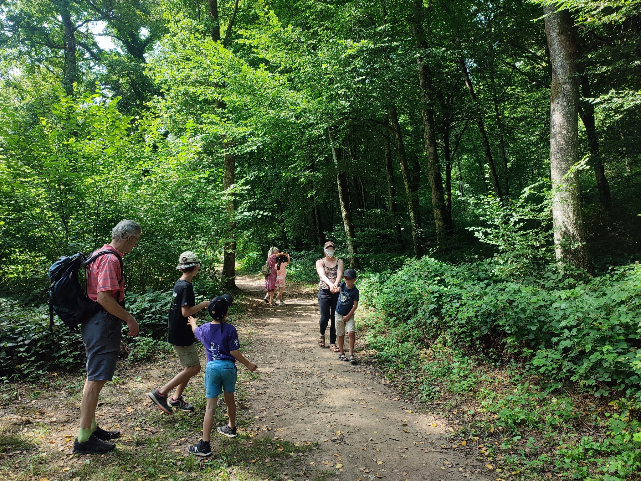 Des Racines & Des Liens – Cercles de parents – Graines de Sauvages