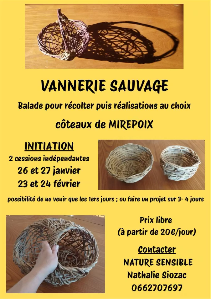 Initiation a la vannerie sauvage nature sensible affiche