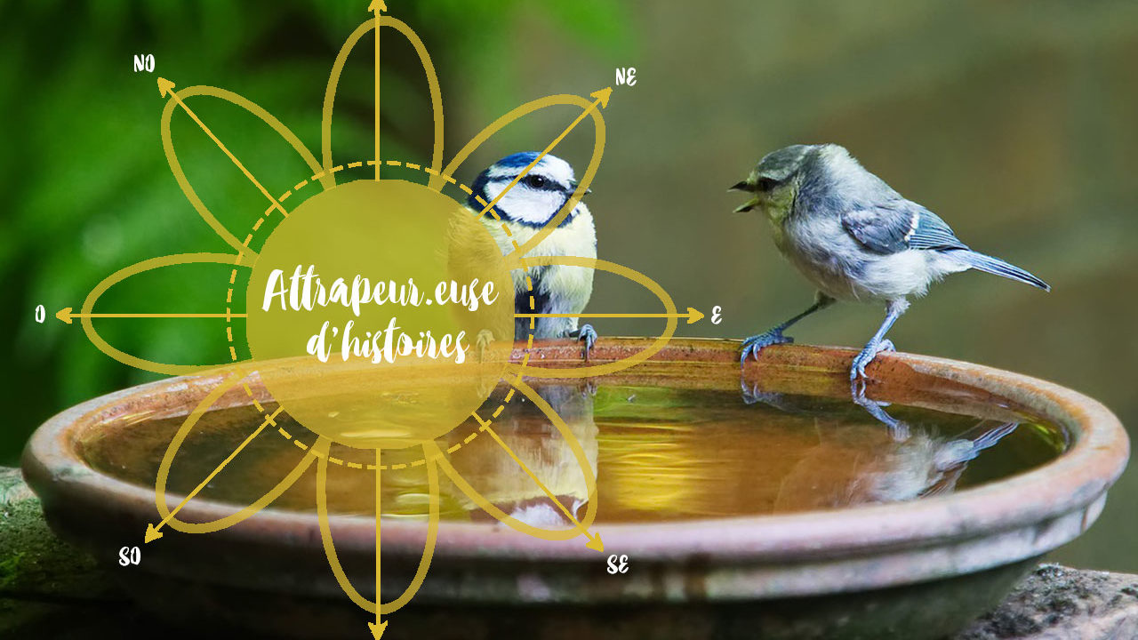 Le chant de laube comprendre accompagner connecter lenfant module Graines de Sauvages