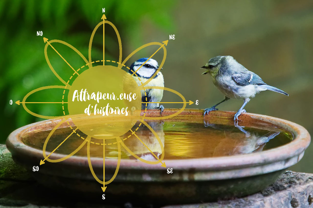 Dès le 12.01.26 – Le Chant de l’Aube – Comprendre, accompagner, connecter l’enfant – Graines de Sauvages