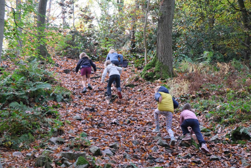 Petits ruisseaux Journee etre Foret