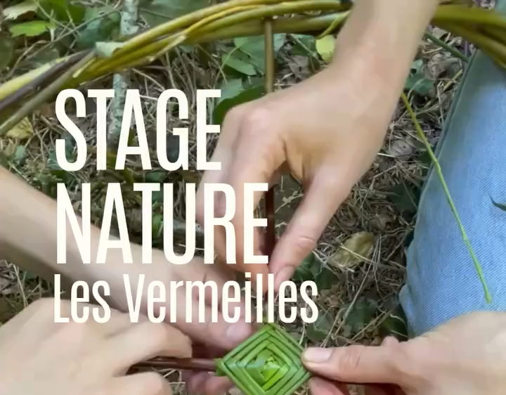 29-30.12.26 – Stage nature – 2 jours en forêt pour les 7-12 ans – Les Vermeilles