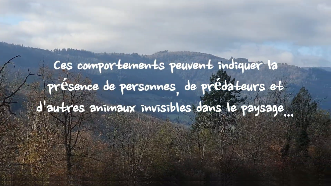 Trilogie autour des passions de norbert permavisions