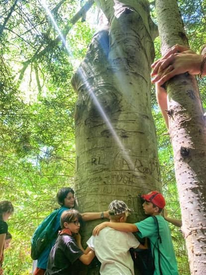 Les enfants sauvages