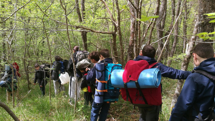 Sur la trace des mouflons