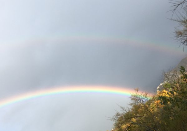 Cercle des passeurs prendre soin de son axe