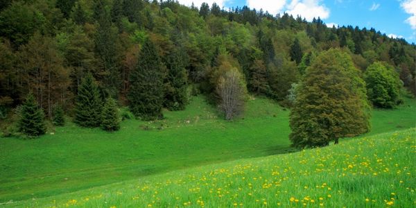 Immersion montagne Prin temps philosophique et sensible avec Jean Philippe Pierron