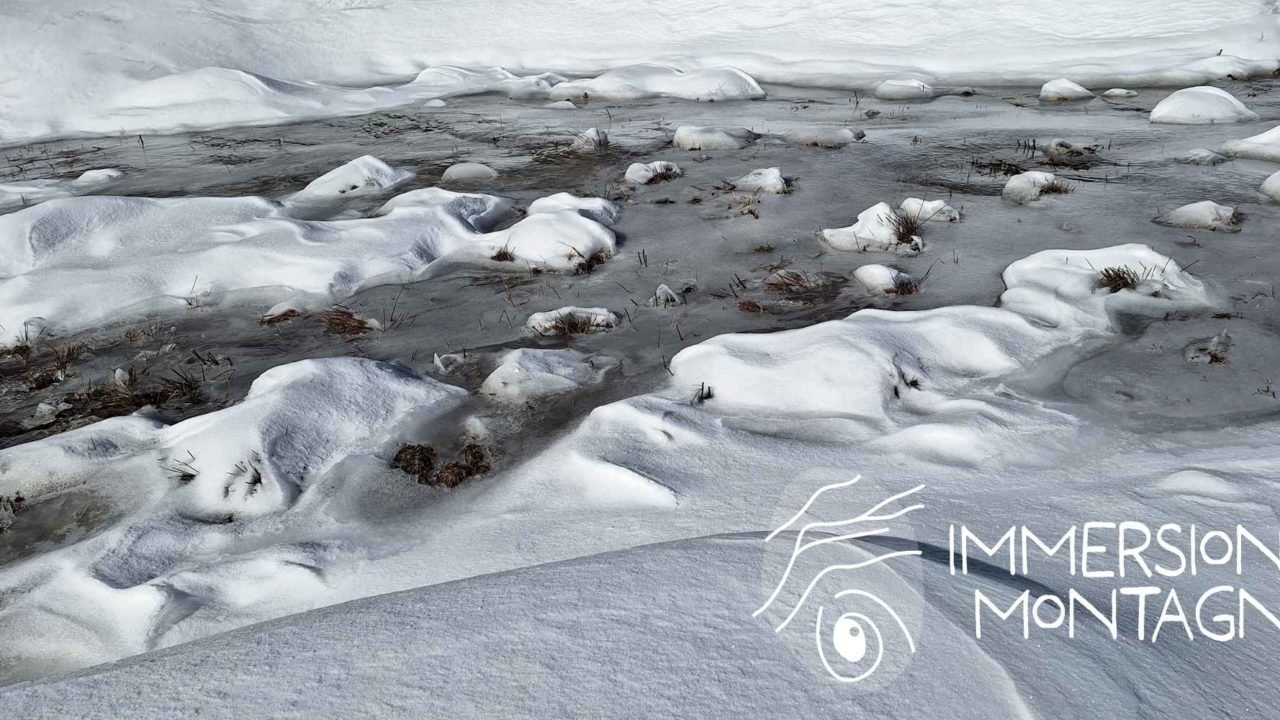 Immersion montagne newsletter
