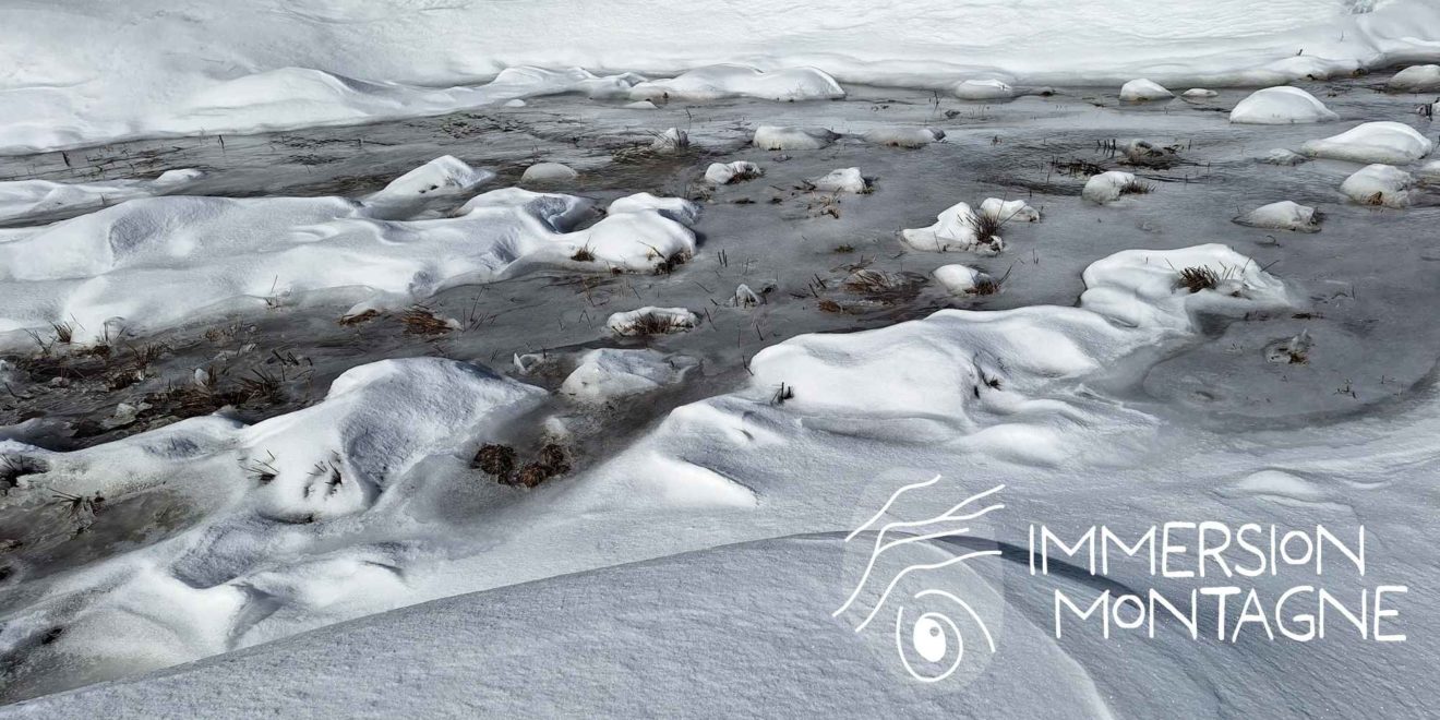 Immersion montagne newsletter
