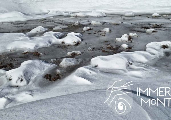 Immersion montagne newsletter