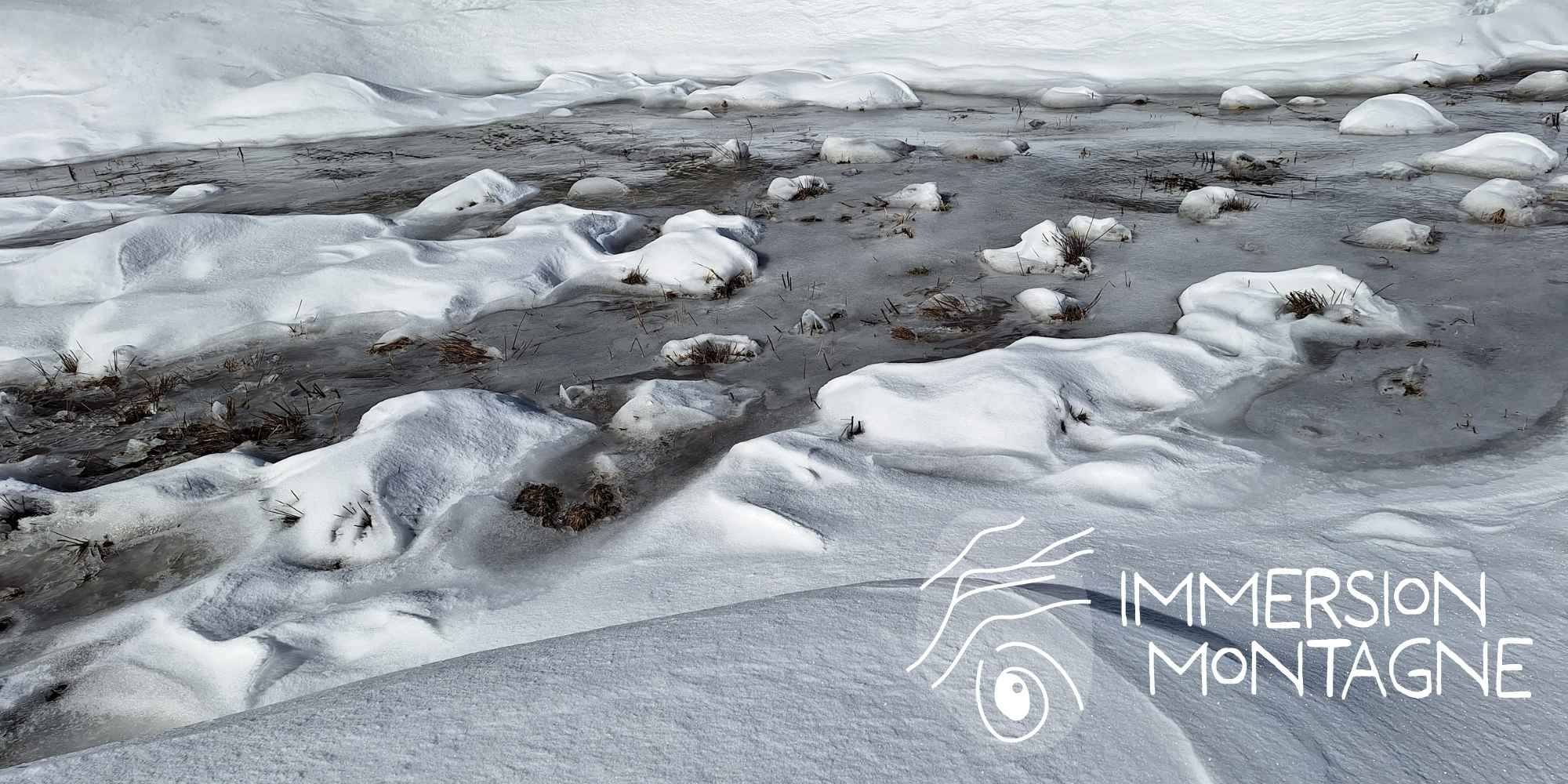 Newsletter de Immersion Montagne – Questionner le temps – Interroger la nature