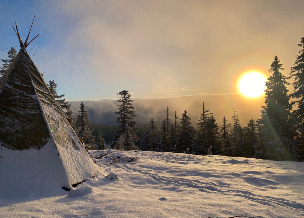 Lombelle newsletter janvier 2026