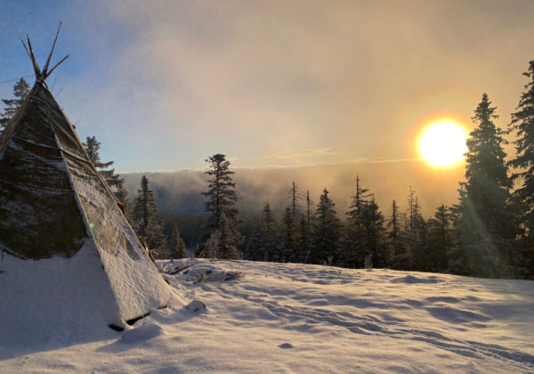 Lombelle newsletter janvier 2026