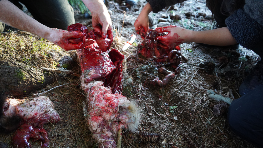 Lombelle newsletter janvier 2026