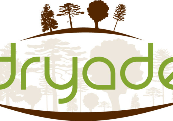 Dryade logo
