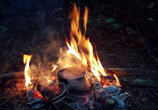 Samedis sauvages actu