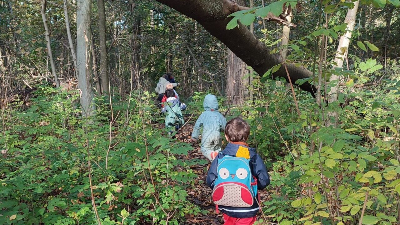 Stages nature enfants immersion en foret graines de sauvage