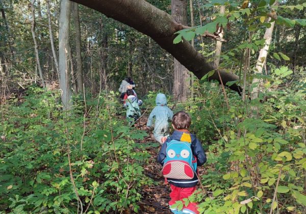 Stages nature enfants immersion en foret graines de sauvage