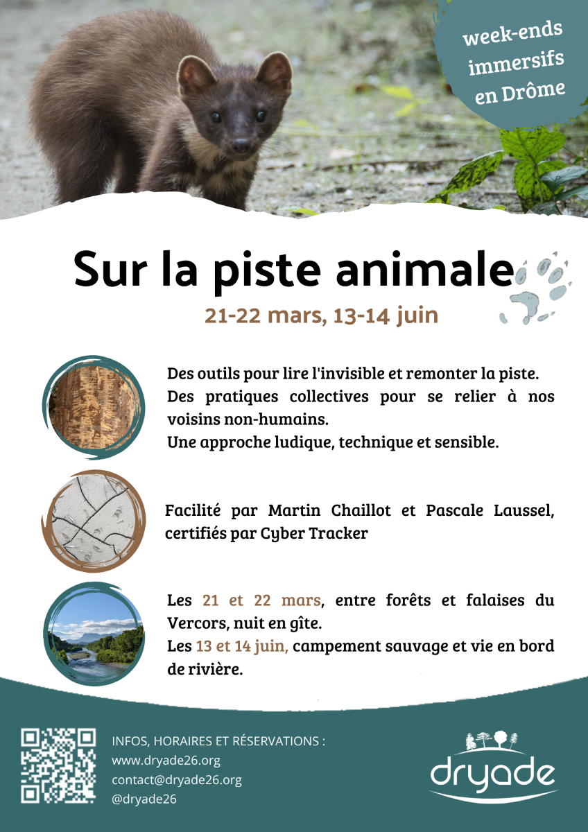 Sur la piste animale dryade