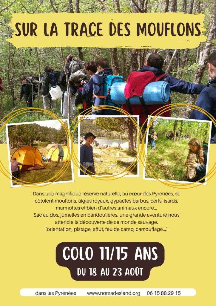 Trace des mouflons nomadesland