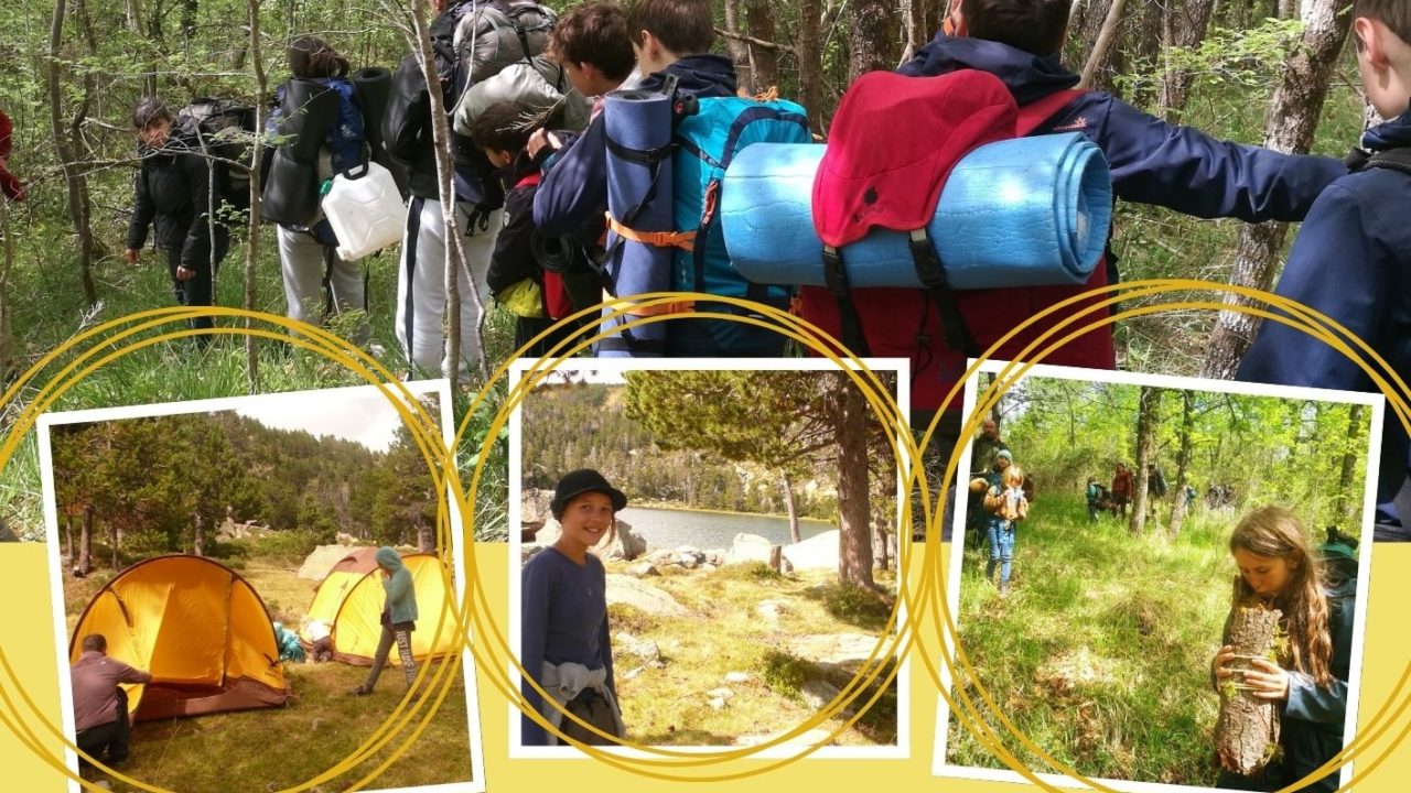 Trace des mouflons nomadesland banner