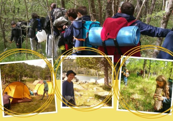 Trace des mouflons nomadesland banner