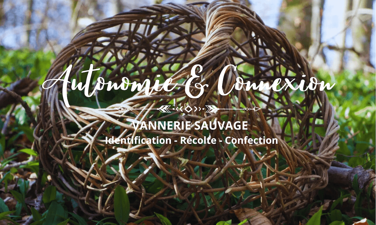 15 03 26 vannerie sauvage connexion profonde au vivant parents sauvages