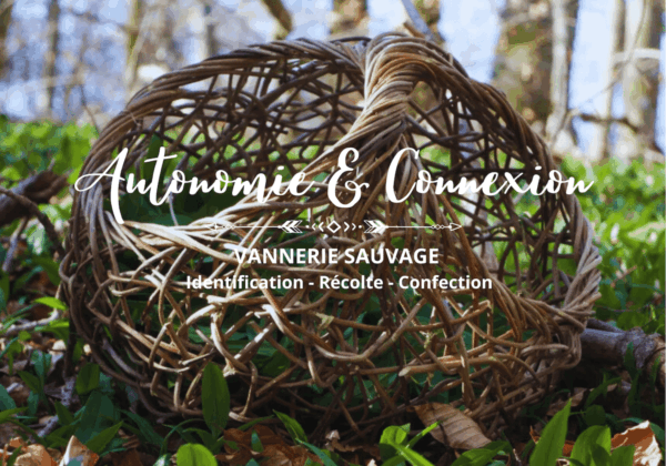 15 03 26 vannerie sauvage connexion profonde au vivant parents sauvages