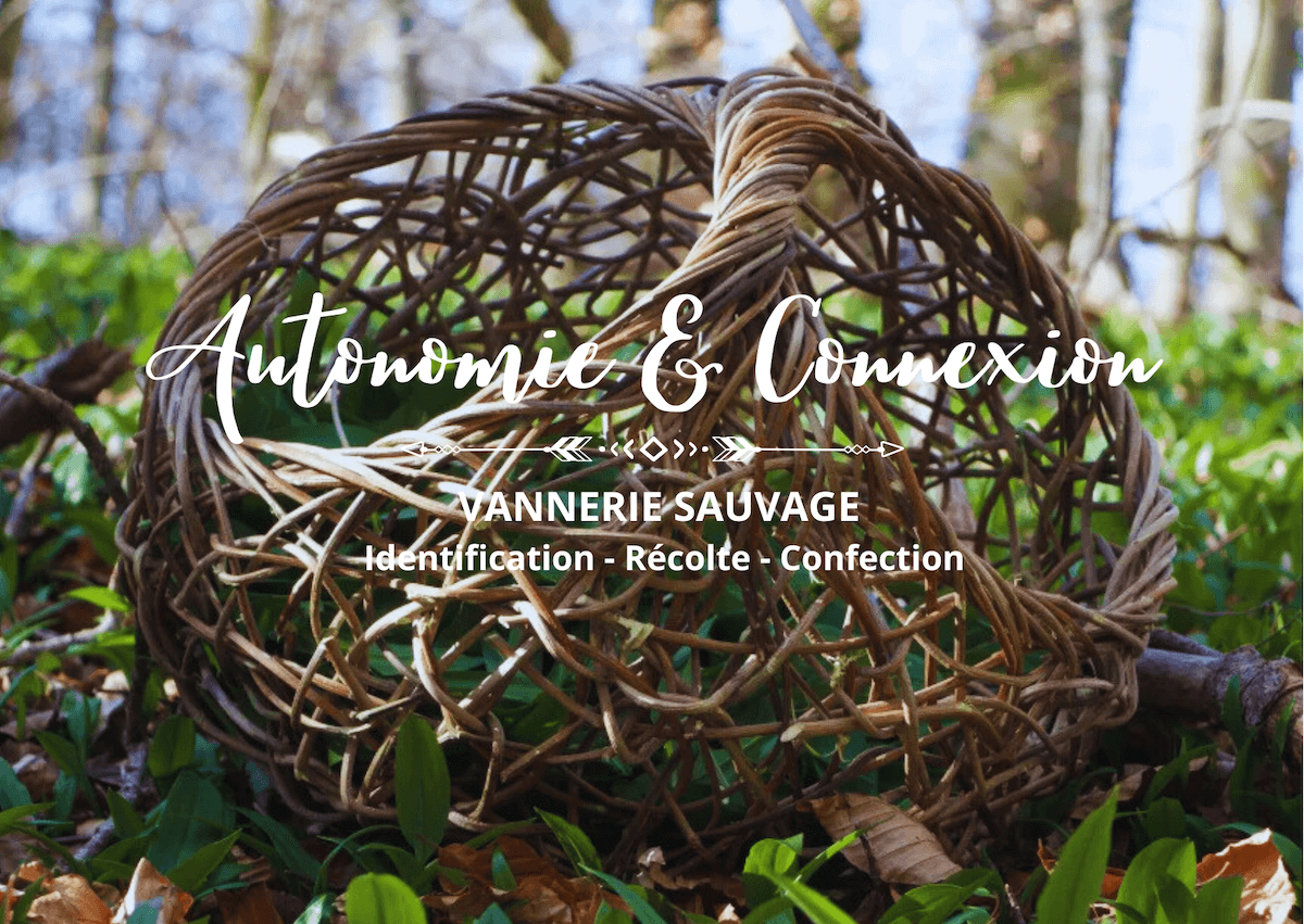15.03.26 – Vannerie Sauvage & Connexion Profonde au Vivant