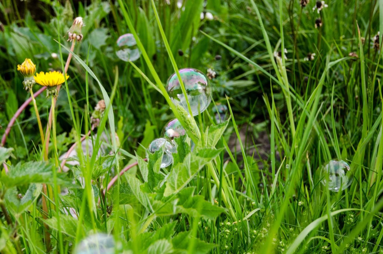 Prin temps philosophique et sensible immersion nature